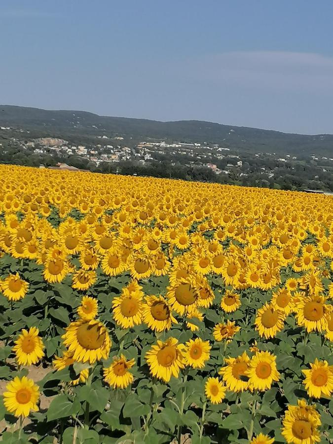 Charmante Maison Avec Terrasse Aux Portes De L'Ardeche Пон-Сент-Еспри Екстериор снимка